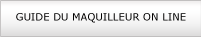 maquillage professionnel, guide du maquilleur, plein fard