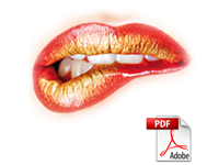maquillage professionnel, guide du maquilleur, plein fard