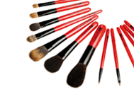 maquillage professionnel, guide du maquilleur, plein fard